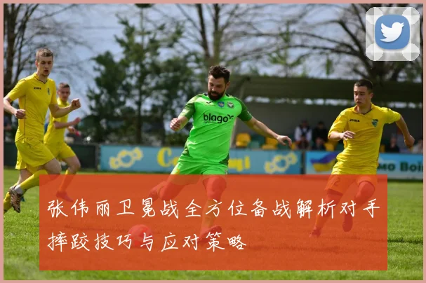 张伟丽卫冕战全方位备战解析对手摔跤技巧与应对策略